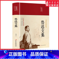 [正版]鲁迅文集一代文学巨匠鲁迅中国现当代文学中国古典文学国学名著中小学五六七八九年级寒暑假课外阅读读物 书店书籍