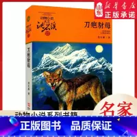 刀疤豺母 [正版]书店 刀疤豺母 升级版动物小说大王沈石溪·品藏书系 中/小学生阅读少儿读物 儿童文学