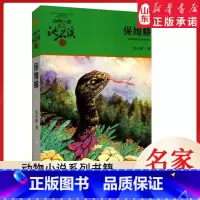 保姆蟒 [正版]书店 保姆蟒 升级版动物小说大王沈石溪·品藏书系 中/小学生阅读少儿读物 儿童文学