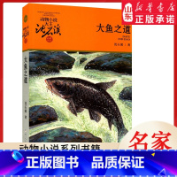 [正版]书店 大鱼之道 升级版动物小说大王沈石溪·品藏书系 中/小学生阅读少儿读物 儿童文学