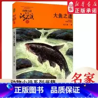 [正版]书店 大鱼之道 升级版动物小说大王沈石溪·品藏书系 中/小学生阅读少儿读物 儿童文学