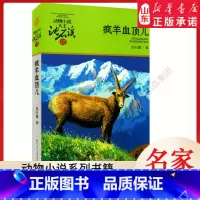 疯羊血顶儿 [正版]书店 疯羊血顶儿 动物小说大王沈石溪·品藏书系 中/小学生阅读少儿读物 儿童文学