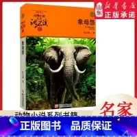 象母怨 [正版]书店 象母怨 升级版动物小说大王沈石溪·品藏书系 中/小学生阅读少儿读物 儿童文学
