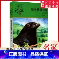 和乌鸦做邻居 [正版]书店 和乌鸦做邻居 升级版动物小说大王沈石溪·品藏书系 中/小学生阅读少儿读物 儿童文学