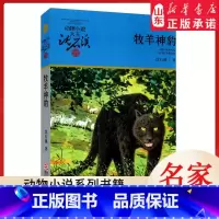 牧羊神豹 [正版]书店 牧羊神豹 升级版动物小说大王沈石溪·品藏书系 中/小学生阅读少儿读物 儿童文学