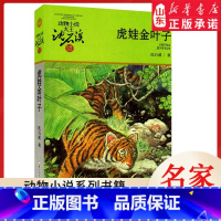 虎娃金叶子 [正版]书店 虎娃金叶子 升级版动物小说大王沈石溪·品藏书系 中/小学生阅读少儿读物 儿童文学