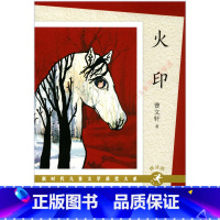 火印(朗读版) [正版]新时代儿童文学获奖大系朗读版 火印曹文轩吉祥时光张之路童年河赵丽宏海底隧道杨志军慢小孩迟慧尼克代