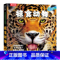 掠食动物 [正版]趣味科普3D立体翻翻书掠食动物揭秘动物生存法则机关互动3-6-10岁儿童动物世界科普百科全书小学生课外