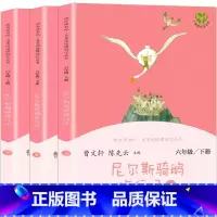 尼尔斯骑鹅旅行记 [正版]快乐读书吧六年级下册人教版爱丽丝漫游奇境尼尔斯骑鹅旅行记鲁滨逊漂流记汤姆索亚历险记小学生语文课