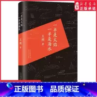[正版]一半是火焰一半是海水王朔著爱情小说 文学中国现当代随笔 精装版王朔中短篇小说集9787530213643 书店