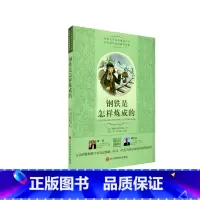 钢铁是怎样炼成的 [正版]经典文学名著精选丛书钢铁是怎样炼成的 尼古拉奥斯特洛夫斯基著中小学生课外阅读读物青年励志向善向