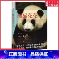 [正版]熊猫花花蒋林著熊猫界顶流大熊猫大熊猫和花成长历程知识问答科普小说记录花花的作品熊猫简史知识问答科普小说 书店书