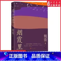 [正版]烟霞里魏微著第十一届茅盾文学奖获奖作品鲁迅文学奖全新长篇小说十三年长篇小说新作致敬喧哗与骚动光荣与梦想 书店书