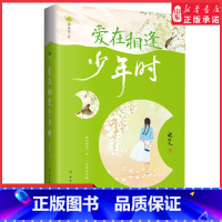 [正版]沈从文散文精选爱在相逢少年时全新彩插双封裸脊精选版世界这么大还好遇见你献给每一个为爱奋不顾身也终将被爱治愈的你