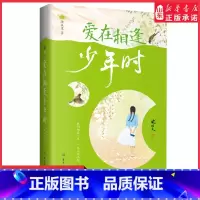 [正版]沈从文散文精选爱在相逢少年时全新彩插双封裸脊精选版世界这么大还好遇见你献给每一个为爱奋不顾身也终将被爱治愈的你