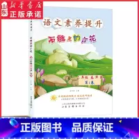 石缝里的小花 小学二年级 [正版]语文素养提升二年级春华篇石缝里的小花蜜蜂识途的奥秘动物园里的猴子提高孩子语文素养提升阅
