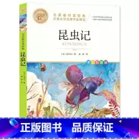 昆虫记 [正版]昆虫记小学生课外阅读书籍彩图版三四五六年级9-10-12岁青少年课外读物名师教你读经典外国文学名家作品精