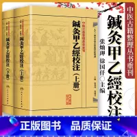 [正版]2本 针灸甲乙经校注(上下册)原著皇甫谧 主编张灿玾 徐国仟中医古籍整理丛书重刊 鍼灸甲乙经校注(上下册) 人
