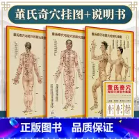 [正版]3张 董氏奇穴与经穴对照大挂图 可搭配邱雅昌杨维杰董氏奇穴实用手册原理结构穴位诠解治疗析要等书籍中医中国医药科