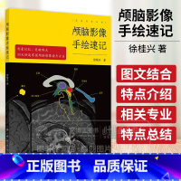 颅脑影像手绘速记 颅脑正常影像 高血压性脑出血 脑静脉出血和静脉窦血栓形成 颅内肿瘤 主编 徐桂兴 9787117 [正