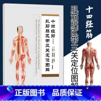 [正版] 十四经筋-肌筋膜区带三关定位挂图 人民卫生出版社9787117241199