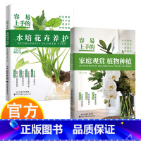 容易上手的水培花+家庭观赏植物种植 [正版]容易上手的水培花卉养护+家庭观赏植物种植 绿色种植多彩享受 美丽看得见 知识