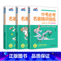 [七八九年级全3册]中考必考名著精讲细练 初中通用 [正版]2025新 初中名著导读考点精练七八九年级中考必考名著精讲细