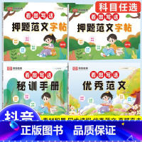 [适用1-2年级]看图写话优秀范文+训练手册+练字帖 小学通用 [正版]看图写话一年级二年级押题范文人教版上册下册小学生