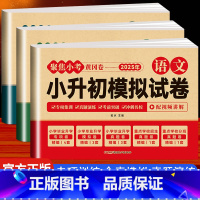 2025•小升初真题卷[语文+数学+英语] 小学升初中 [正版]2025小升初真题卷全套必刷题语文数学英语模拟测试卷小学