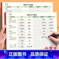 [全6册]可背2400单词 [正版]小学生每日10个单词必背单词小学一二三四五六年级英语单词记背神器艾宾浩斯记忆法单词默