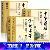 [全3册]中华药膳+食物本草+中国秘方 [正版]中华药膳养生治病一本通 全3册中医养生书籍中药自学教程汤膳药膳食谱食疗常