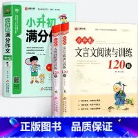 [全3册]小升初满分作文+古诗词+文言文阅读与训练120篇 小学升初中 [正版]小升初满分作文大全小学六年级精选高分获奖