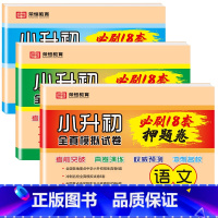 [全3册]小升初押题卷 语文+数学+英语 小学升初中 [正版]2024新小升初真题卷六年级下册试卷测试卷语文数学英语18