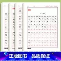 [一年级上册+下册]语文同步字帖4本 [正版]一年级上册练字帖小学生练字本每日30字同步人教版语文二三年级上下册生字拼音