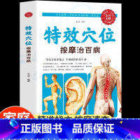 [正版]特效穴位按摩治百病彩色图解人体全身经络穴位速查使用手册防病祛病家庭保健调理按摩手法中医推拿大全中医养生健康疗法