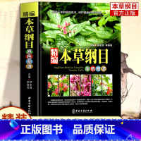 [正版]本草纲目精装中草药图谱本草纲目原版全套书李时珍中草药彩图养生治病中医基础理论大全神农本草经硬壳彩绘典藏版中医养