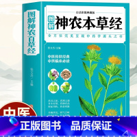 神农本草经 [正版]图解神农本草经中医学基础理论中草药中医诊断自学入门书全彩图解典藏版中药全图鉴经典药方中医书籍医药食疗
