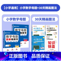 [小学通用]小学数学母题+30天精画图法 小学通用 [正版]小学生数学母题大全解题大招一二三四五六年级数学母题图解视频书