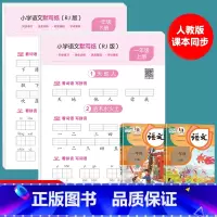 1年级[上册+下册]语文同步字帖 [正版]小学语文默写纸一年级二三年级上下册看拼音写词语生字注音练习册语文字帖练字帖每日