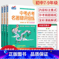 [七八九年级 共3本]中考名著精讲细练 初中通用 [正版]名著导读考点精练初中七八九年级初中生必读名著导读与考点测试卷状