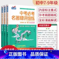 [七八九年级 共3本]中考名著精讲细练 初中通用 [正版]名著导读考点精练初中七八九年级初中生必读名著导读与考点测试卷状