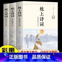 [正版]全3册 彩图珍藏版枕上诗词书系列一本书读懂美古中国枕上诗词大会飞花令浪漫诗词鉴赏书籍诗经唐诗宋词全集古代文化常
