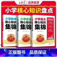 王朝霞小学核心知识集锦[语文+数学+英语] 小学通用 [正版]小学语文阅读训练100篇答案超详解小学生一二三四五六年级阅