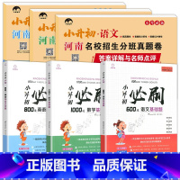 全6册.河南版[小升初试卷+必刷题] 小学升初中 [正版]河南小升初真题卷语文数学英语试卷测试卷全套河南名校分班考试模拟