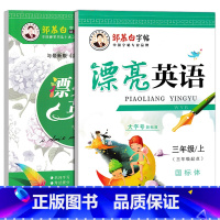 三年级上下册(外研版) [正版]外研版漂亮英语小学生初中生三四五六七八九年级上下册中学英文临摹国际体意大利斜体练字帖单词