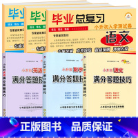 [小升初全套.6册]真题卷+系统总复习 小学升初中 [正版]2025版小升初真题卷 语文数学英语科学专项训练真卷系统总复