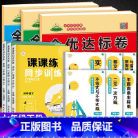 [七下数学专项+全优试卷+课课练]搭配.全12册 七年级下 [正版]七年级下册试卷全套 初一数学必刷题专项训练人教版