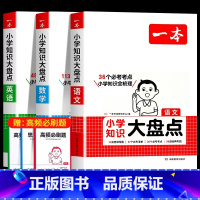 人手一套全3册[语数英]推荐♥♥♥小学知识大盘点 小学通用 [正版]2025小学知识大盘点语文英语基础知识大全手册专项训