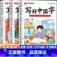 全6册[(7/8/9/)上下册写好中国字] [正版]写好中国字练字帖七八九年级上下册语文同步字帖人教版写字课课练初中生控