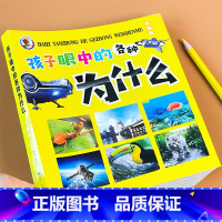 (注音版)孩子眼中的各种为什么[动物+植物+生活+科学]四合一 [正版]注音版全一册孩子眼中的各种为什么儿童绘本6-7-